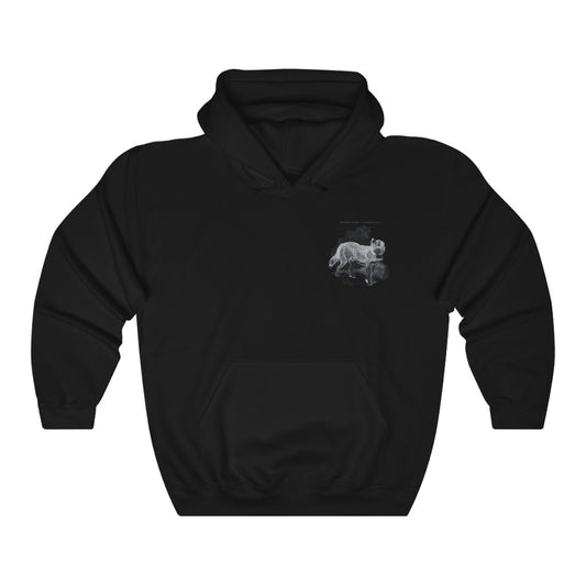 Bernadine Dog Hoodie