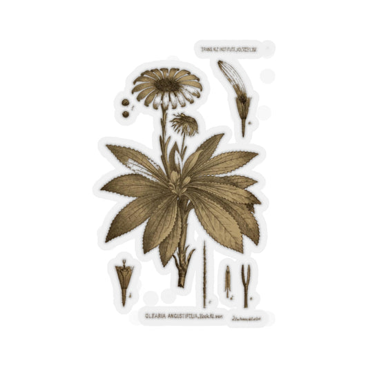 Teteaweka Sticker