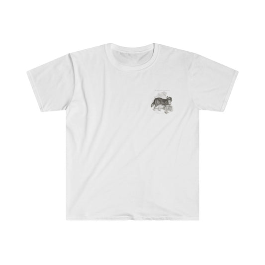Bernadine Dog Tee