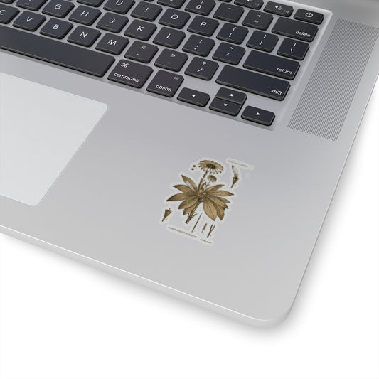 Teteaweka Sticker