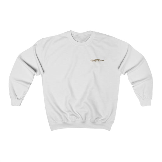 Pygmy Right Whale Skeleton Sweatshirt
