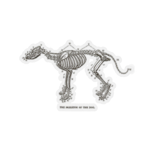 Skeleton of the Dog Sticker