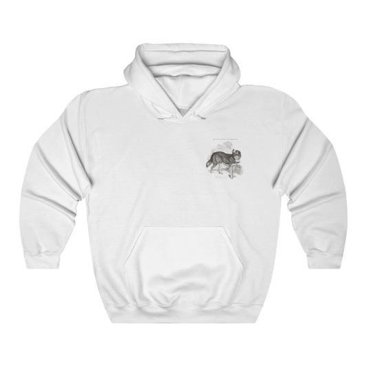 Bernadine Dog Hoodie