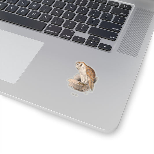 Barn Owl Sticker
