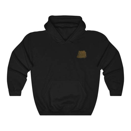 The Cat Book Cover Hoodie
