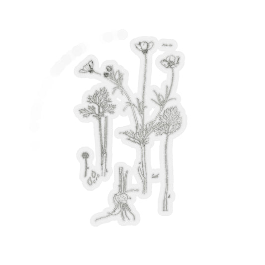 Buttercup Sticker