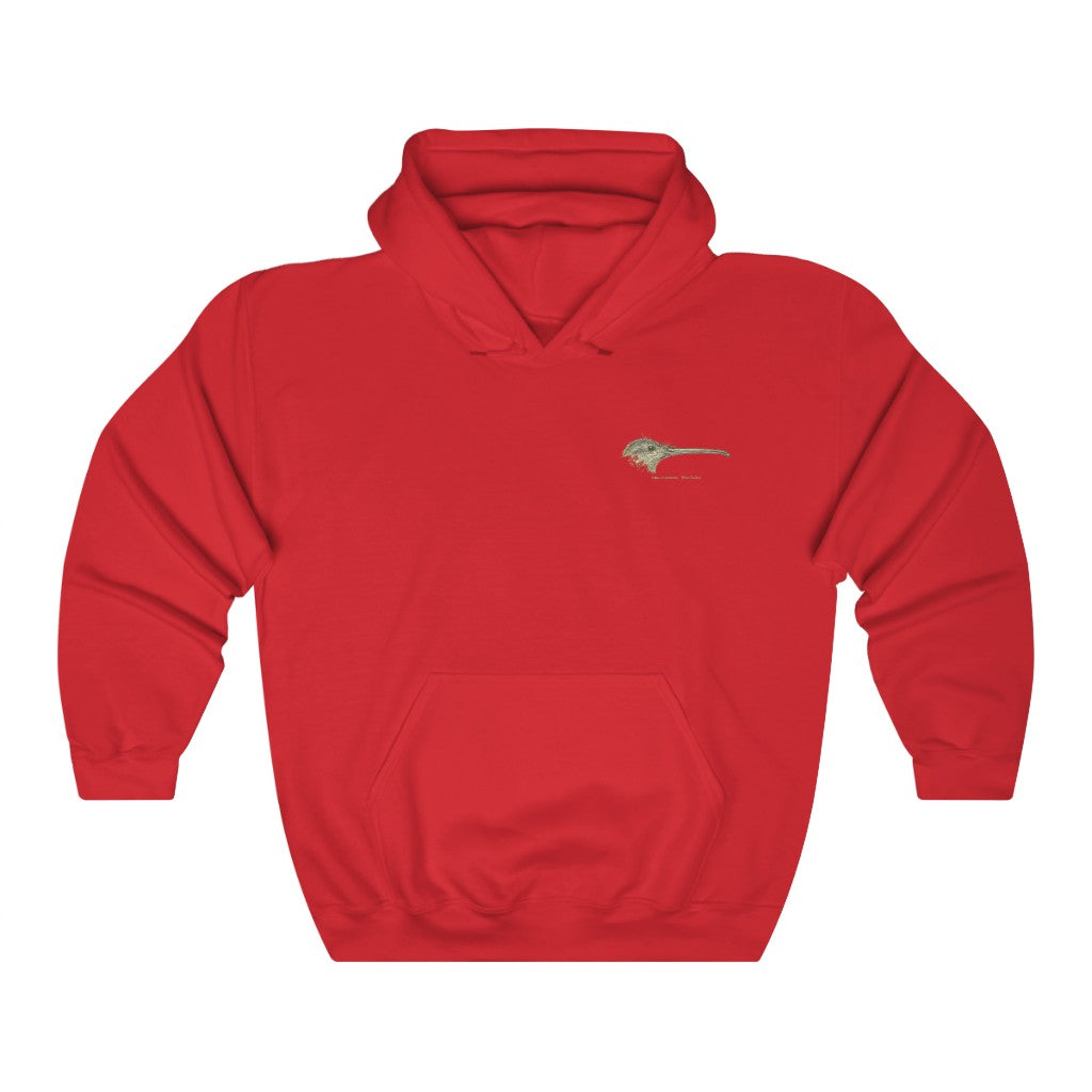 Kiwi Head Hoodie