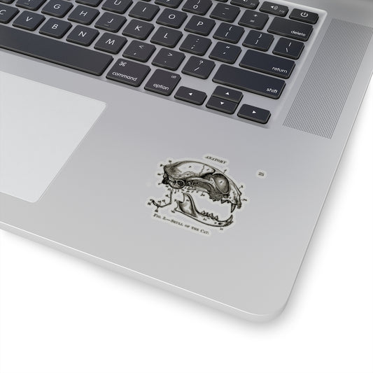 Skull of a Cat Sticker