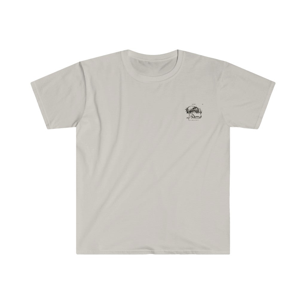 Skull of a Cat Tee