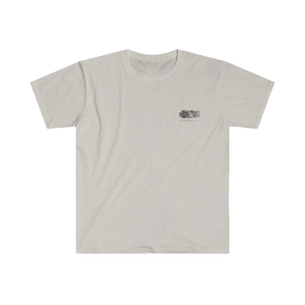 Right Forepaw of Cat Tee