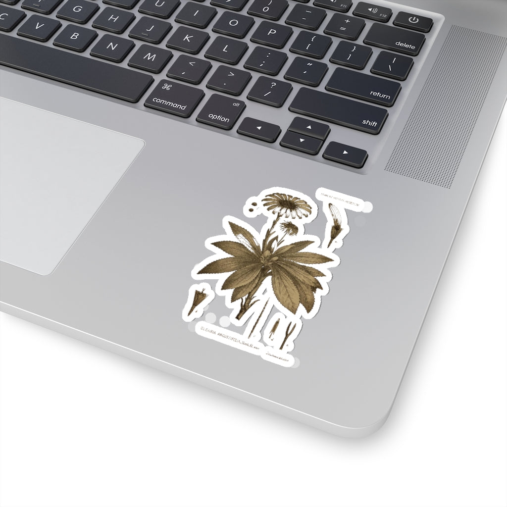 Teteaweka Sticker