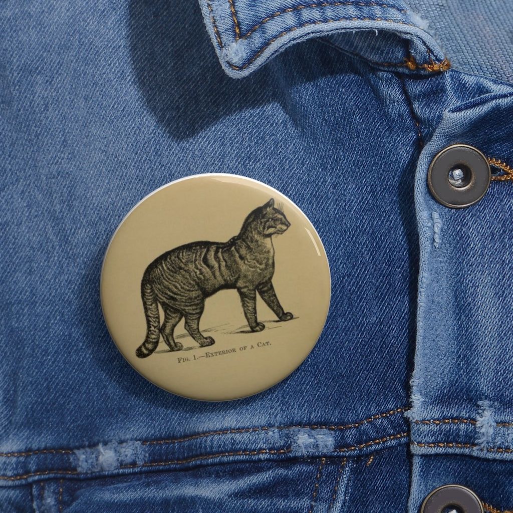 Fig. 1. Exterior of a Cat Pin
