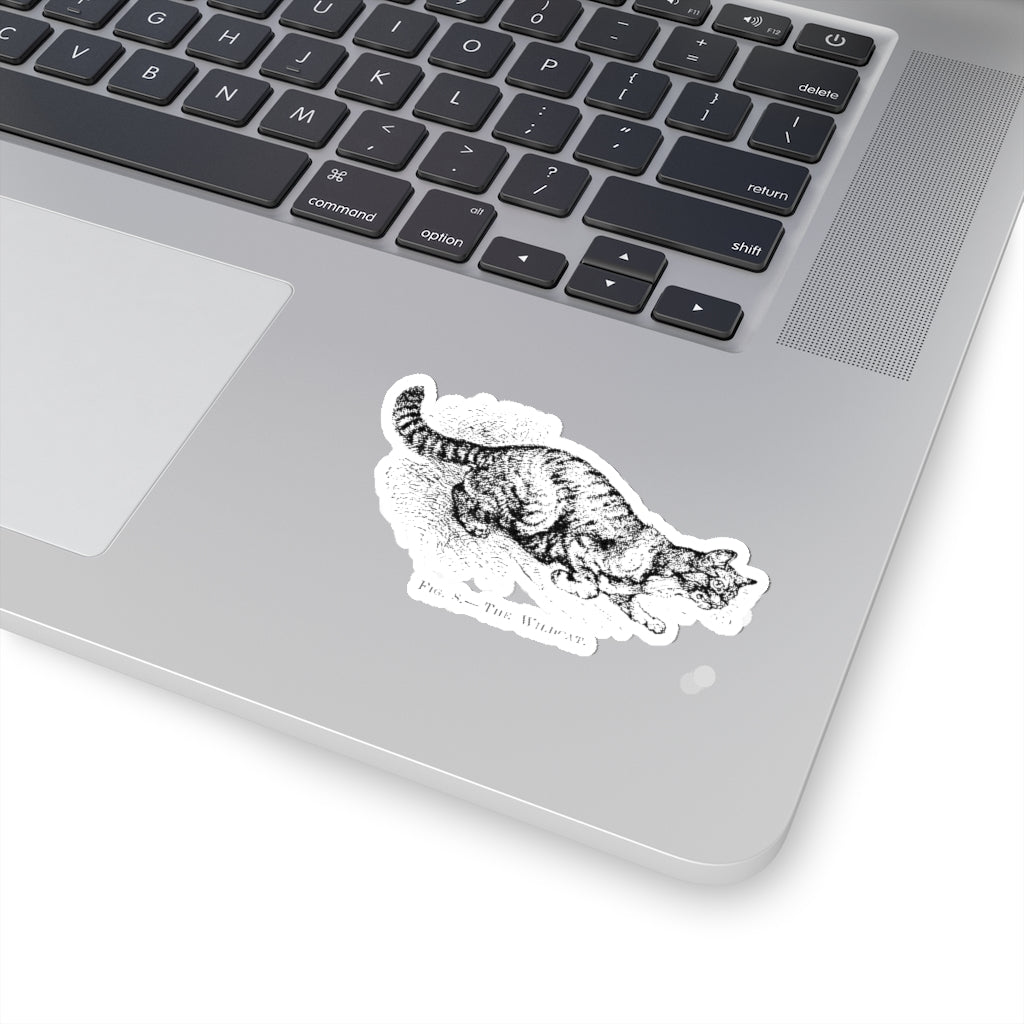 Fig 8 The Wildcat Sticker