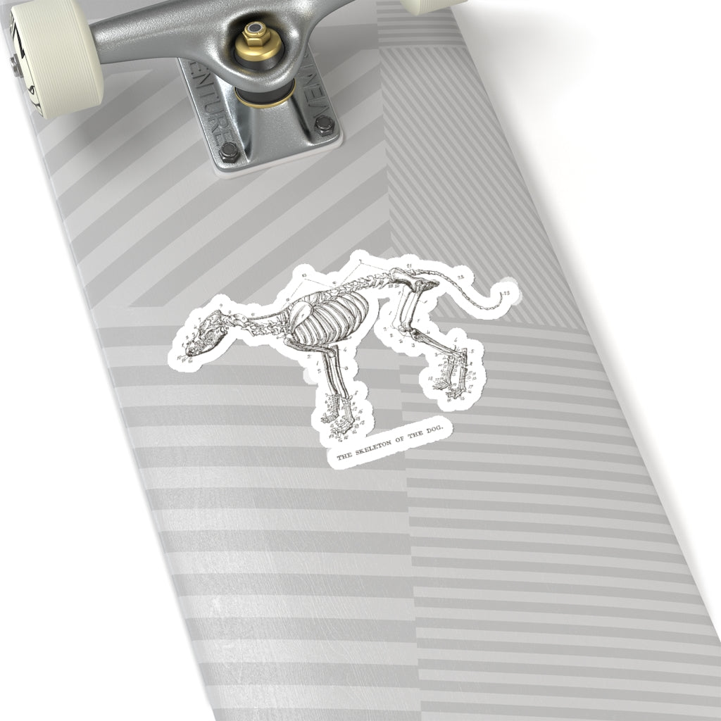 Skeleton of the Dog Sticker