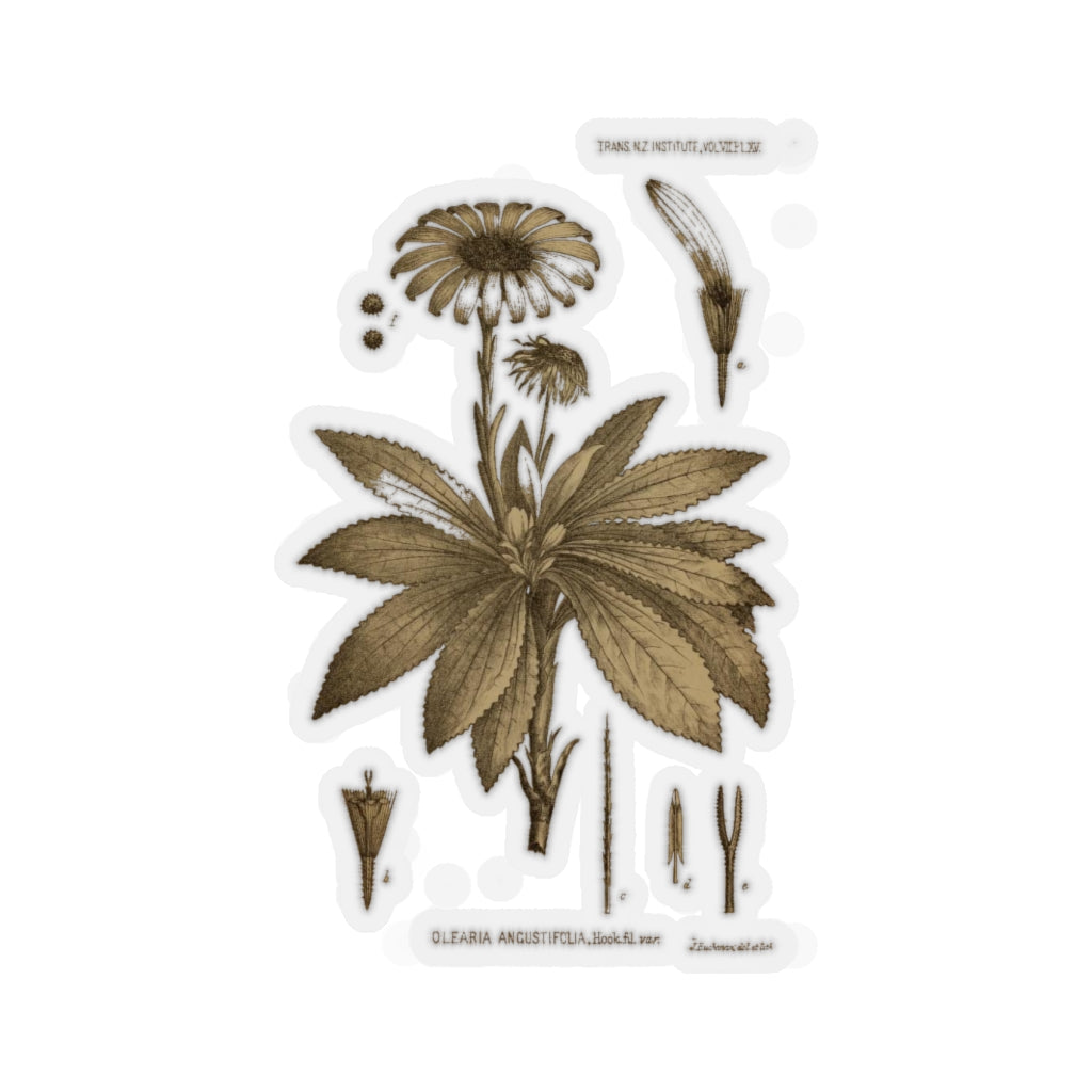 Teteaweka Sticker