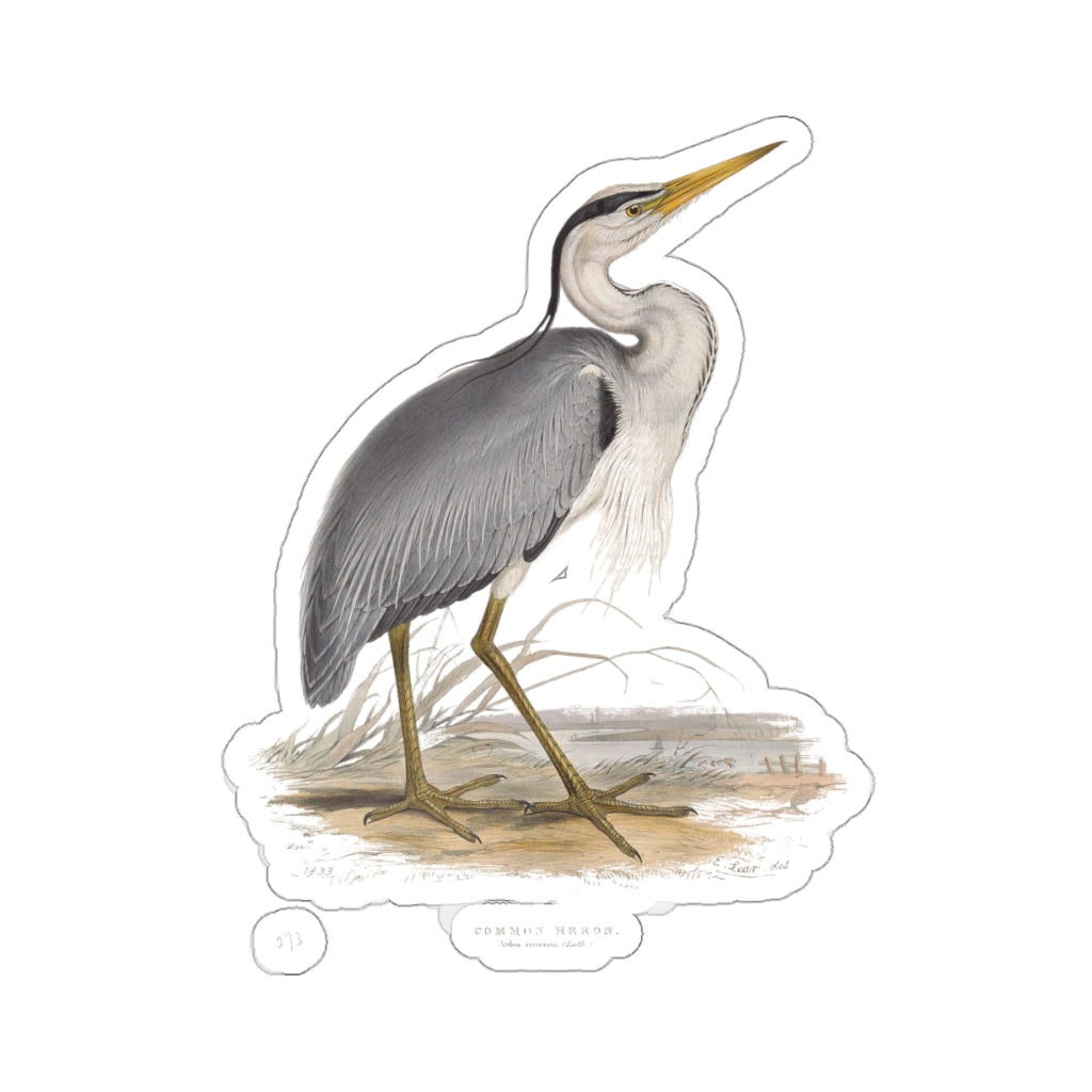 Common Heron Sticker