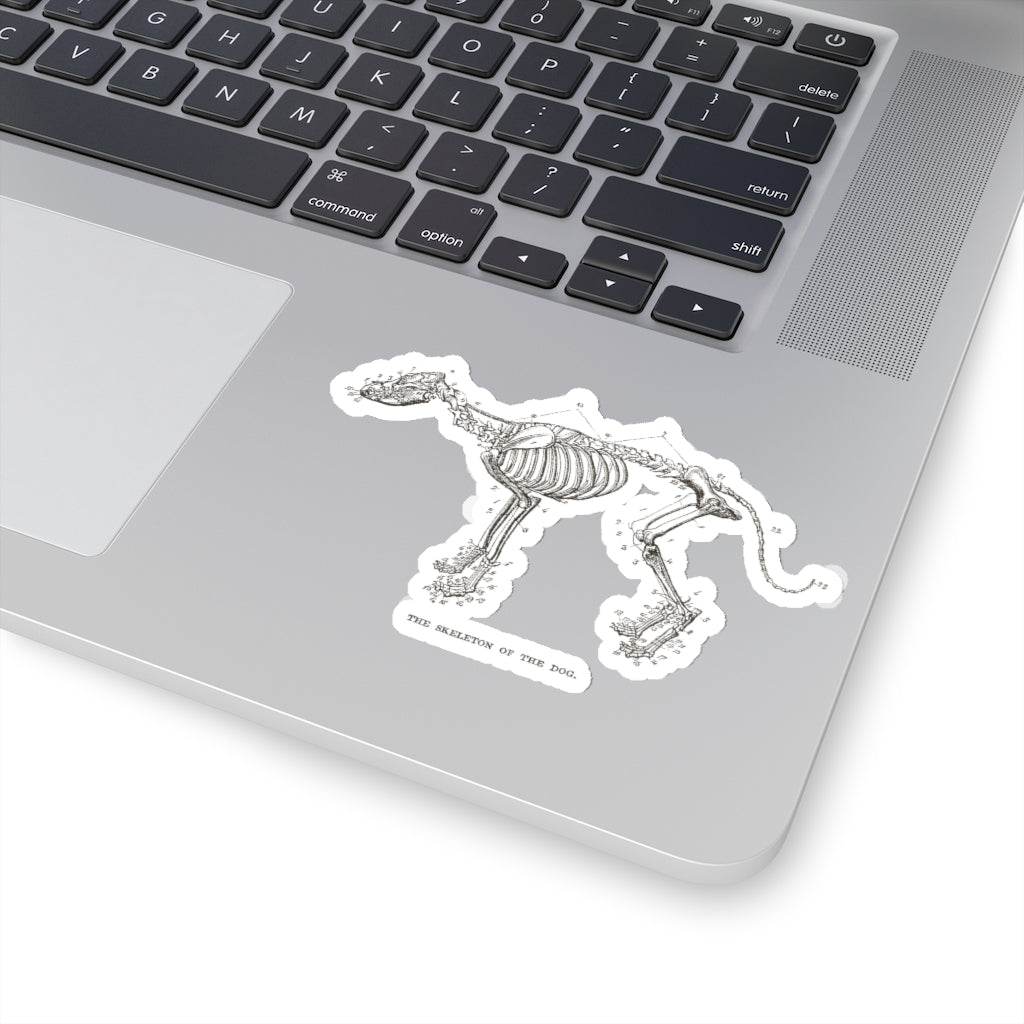 Skeleton of the Dog Sticker