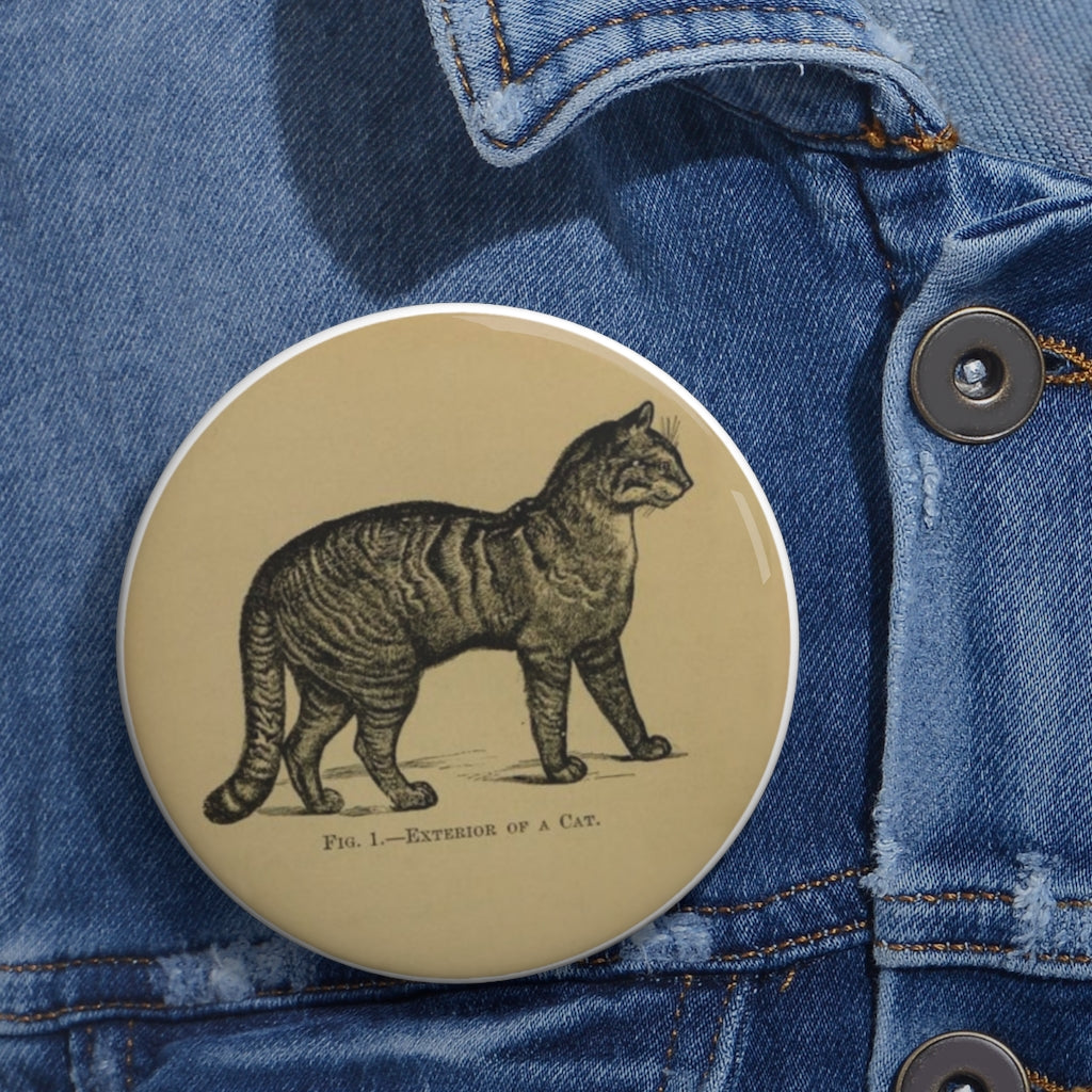 Fig. 1. Exterior of a Cat Pin