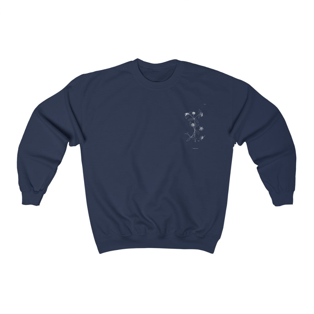 Berry Catchfly Sweatshirt