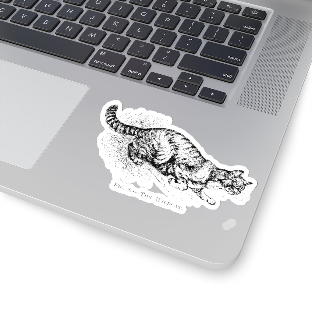 Fig 8 The Wildcat Sticker