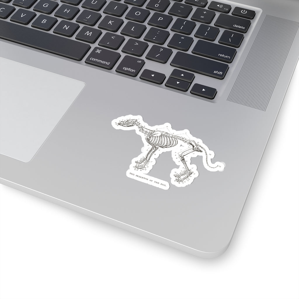Skeleton of the Dog Sticker
