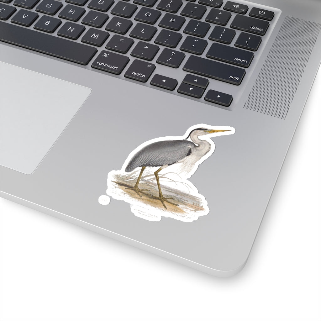 Common Heron Sticker
