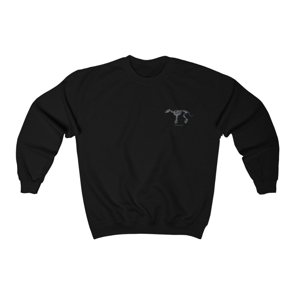 Skeleton of the Dog Sweatshirt