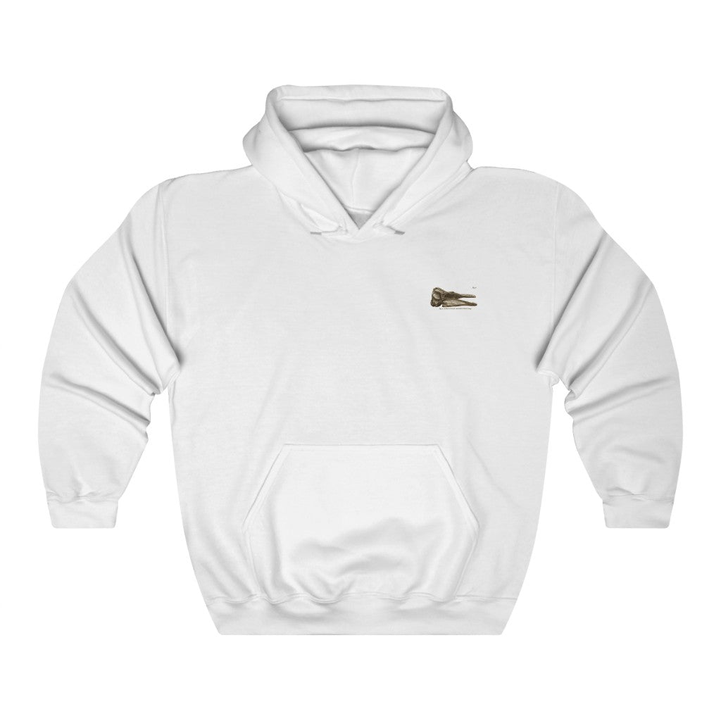 Short-finned Pilot Whale Skull Profile Hoodie