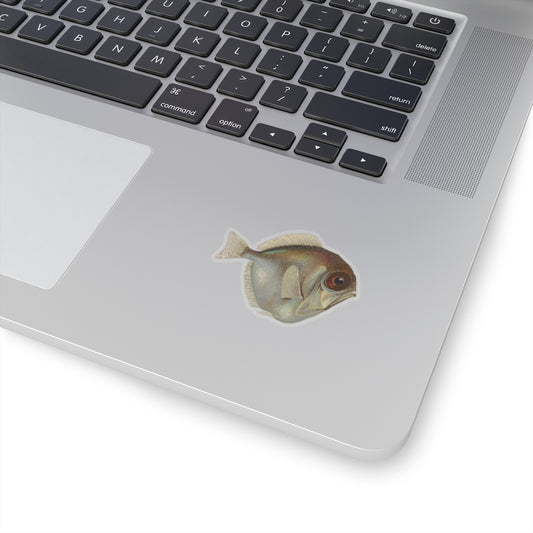 Silver Spinyfin Sticker