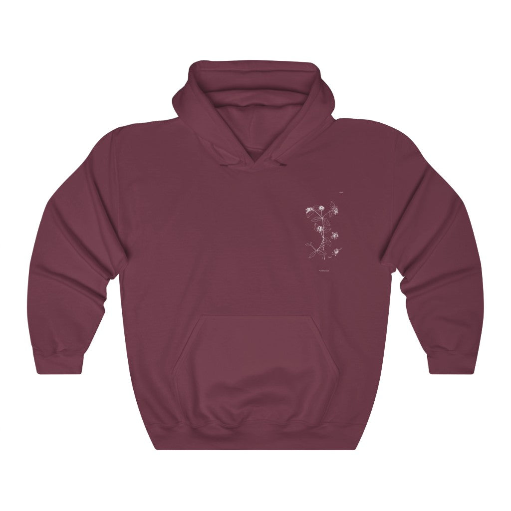 Berry Catchfly Hoodie