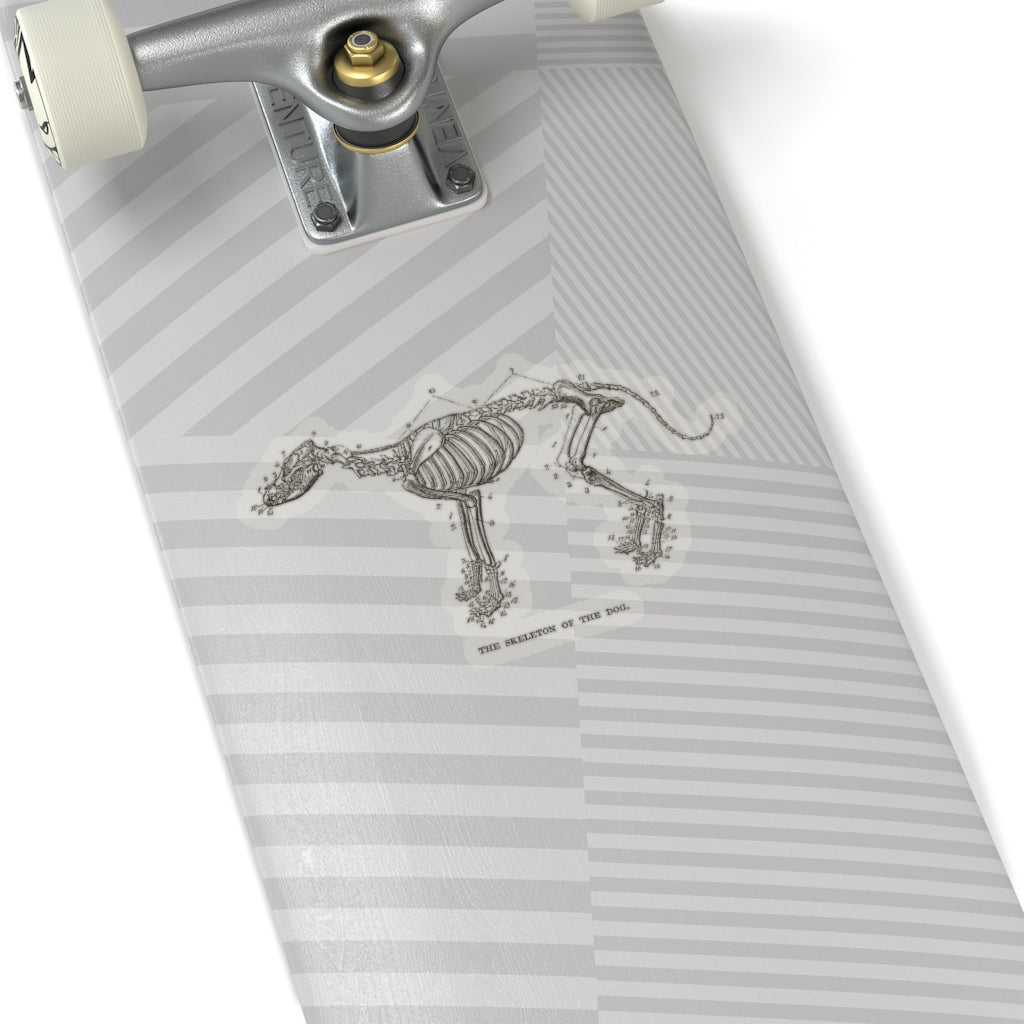Skeleton of the Dog Sticker