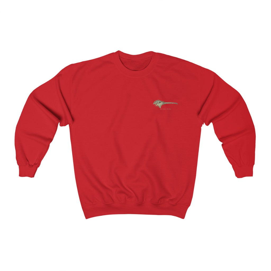 Kiwi Head Sweatshirt