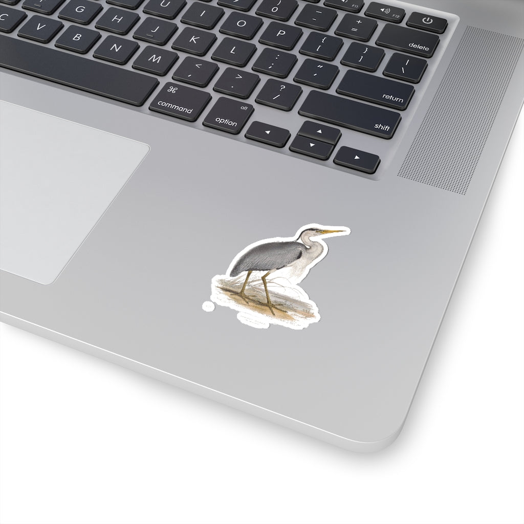 Common Heron Sticker