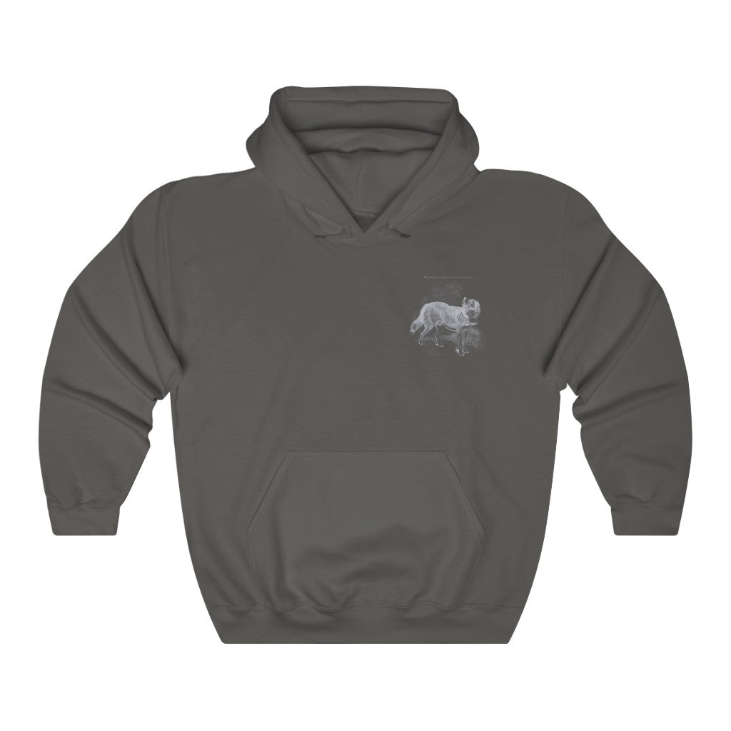 Bernadine Dog Hoodie