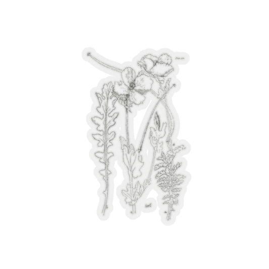 Horned Poppy Sticker