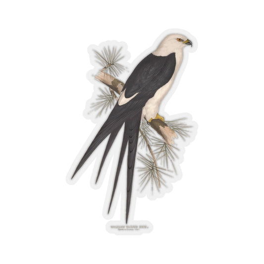 Swallow-tailed Kite Sticker