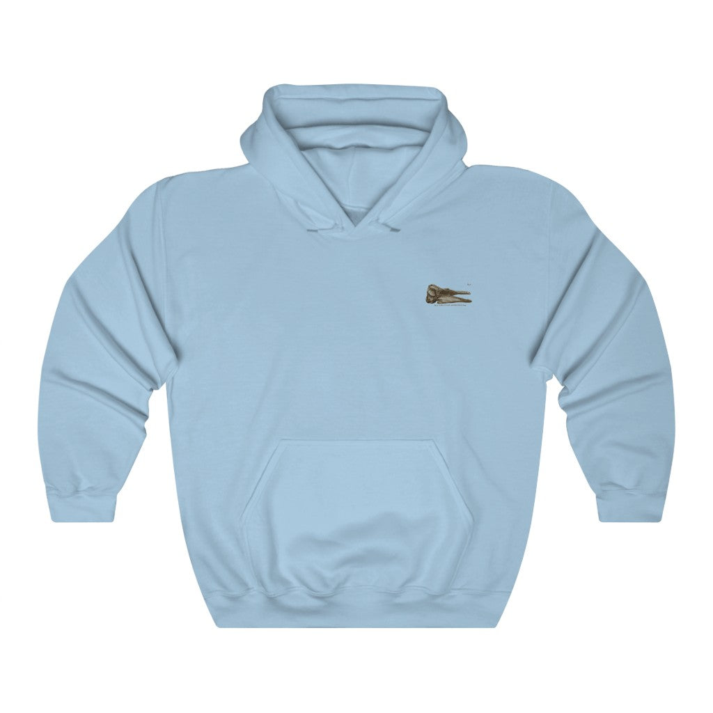 Short-finned Pilot Whale Skull Profile Hoodie