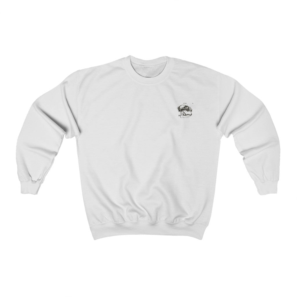 Skull of a Cat Sweatshirt