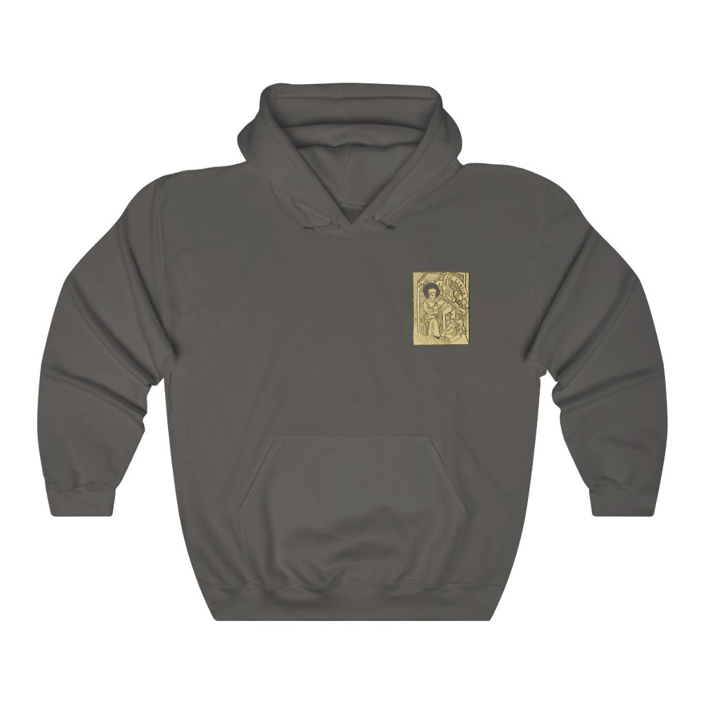 Dictionary of Birds Hoodie