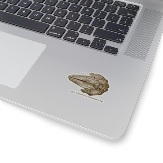 Short-finned Pilot Whale Skull Sticker