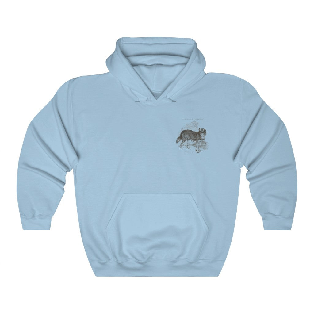 Bernadine Dog Hoodie