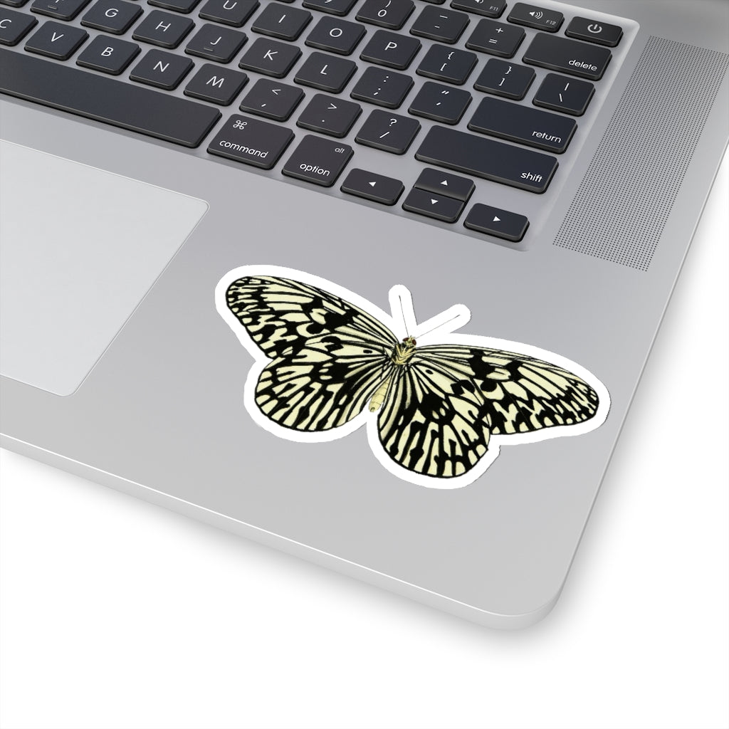 Butterfly Sticker