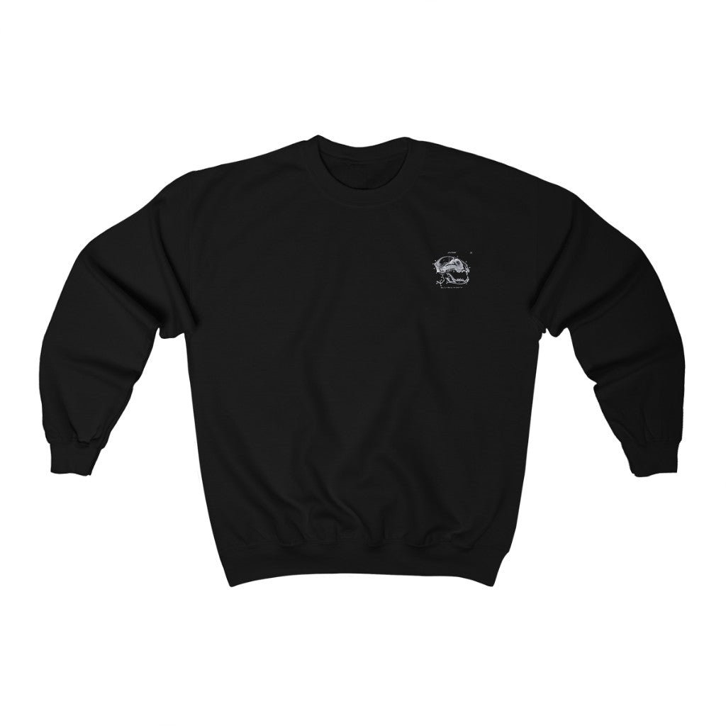 Skull of a Cat Sweatshirt