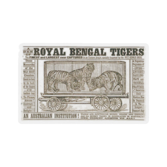 A Den of Royal Bengal Tigers Sticker