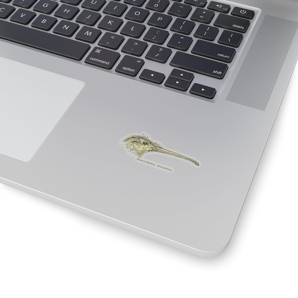 Kiwi Head Sticker