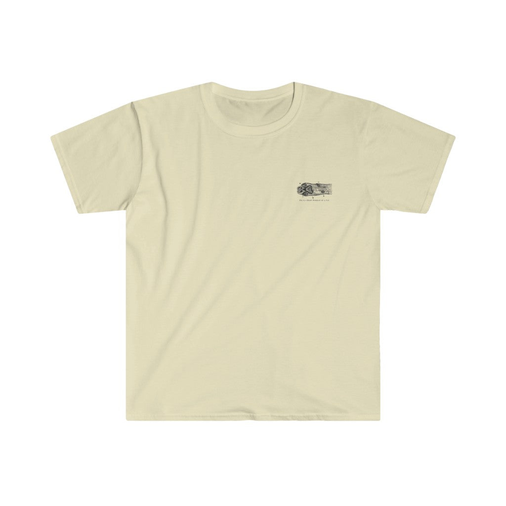 Right Forepaw of Cat Tee