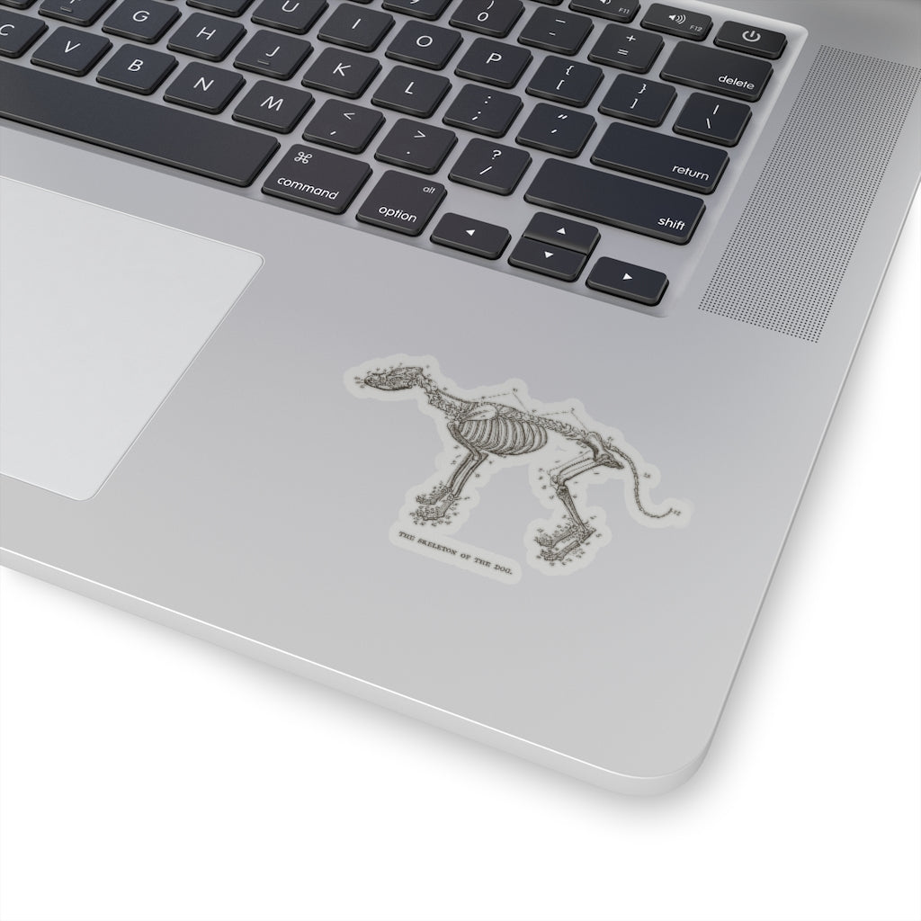 Skeleton of the Dog Sticker