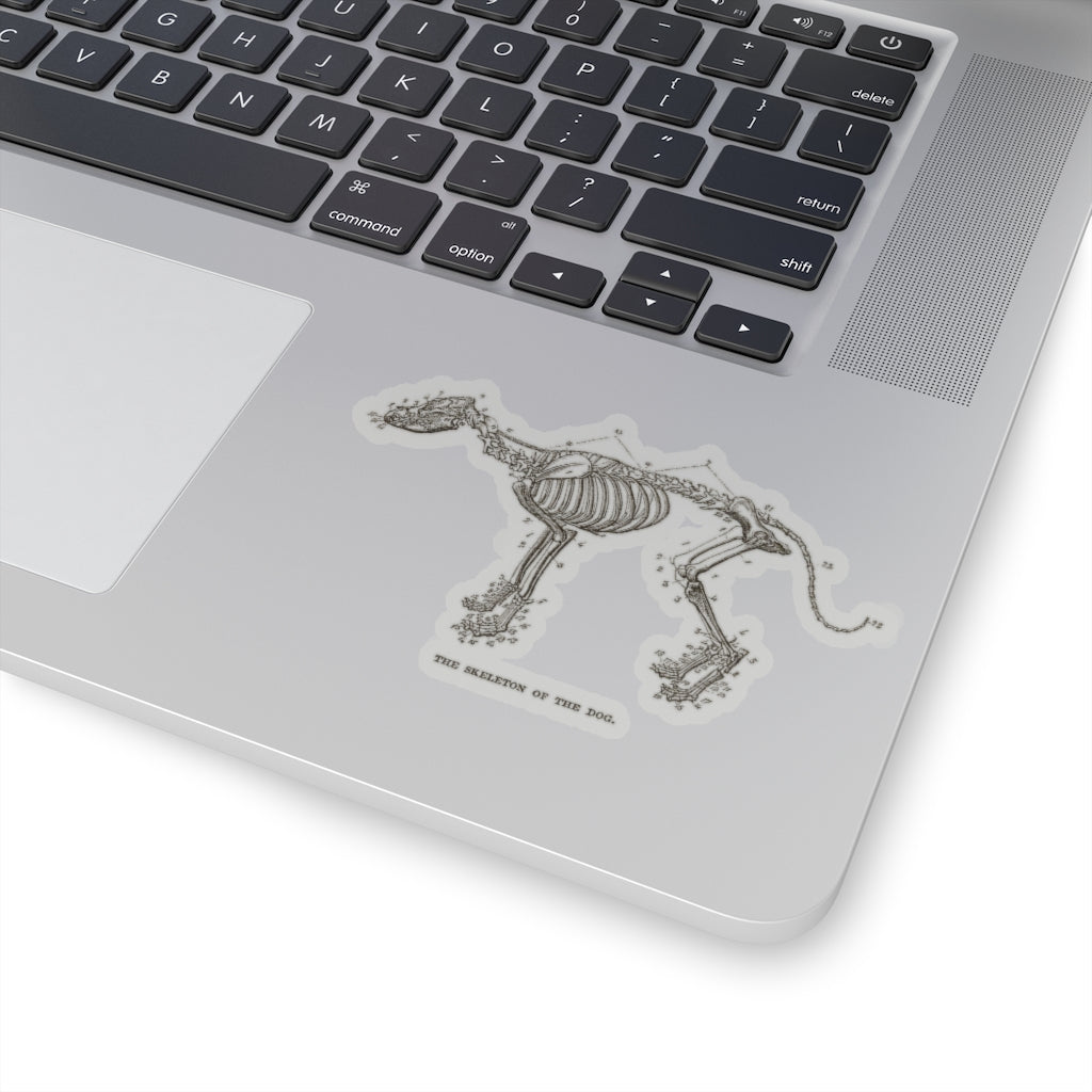 Skeleton of the Dog Sticker