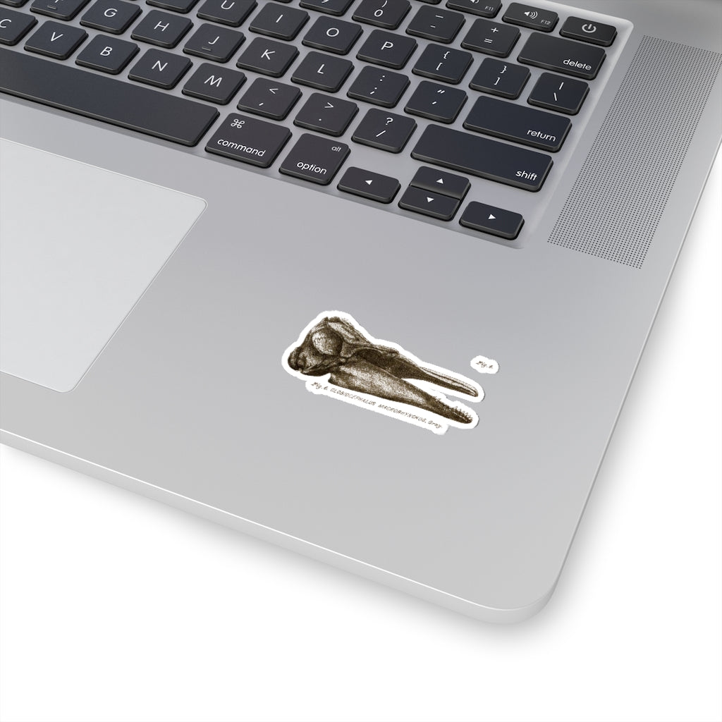 Short-finned Pilot Whale Skull Profile Sticker