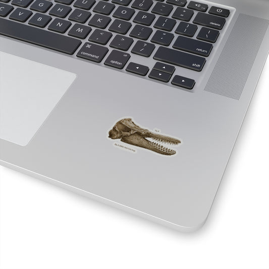 Orca Skull Sticker